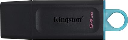 Kingston DataTraveler 64GB Flash Drive USB